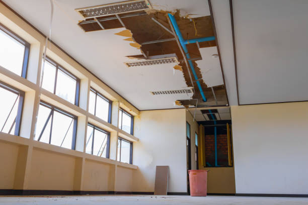 Best 24/7 water damage repair  in Pine Grove Mills, PA