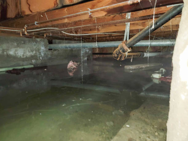 Best Water damage restoration insurance claims  in Pine Grove Mills, PA