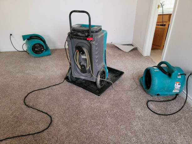 Best Water damage restoration near me  in Pine Grove Mills, PA