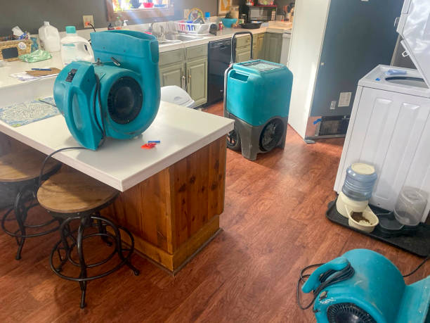 Best Flood damage cleanup  in Pine Grove Mills, PA