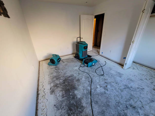 Best Professional water damage repair  in Pine Grove Mills, PA