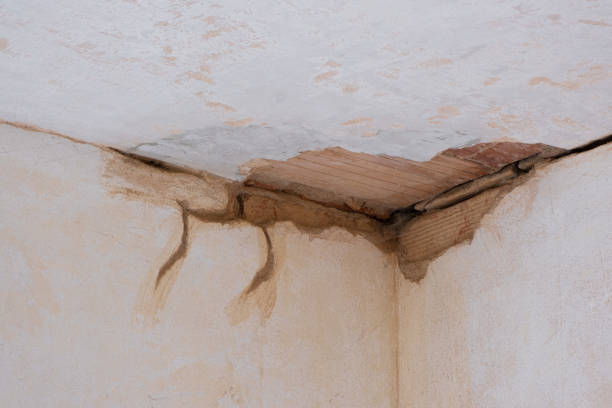 Best 24-hour water damage restoration  in Pine Grove Mills, PA