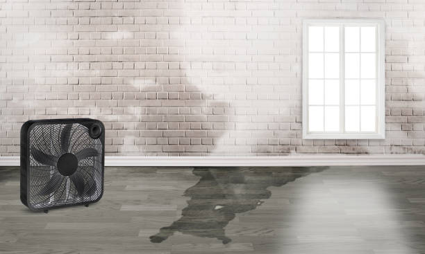  Pine Grove Mills, PA Water damage restoration Pros