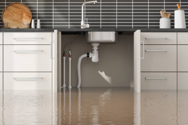 Best Commercial water damage restoration  in Pine Grove Mills, PA