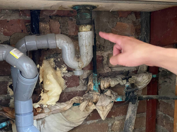Best Water damage restoration specialists  in Pine Grove Mills, PA